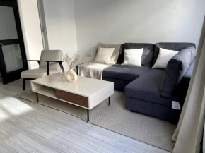 2 Bedroom Central London Apartment Modern and Stylish